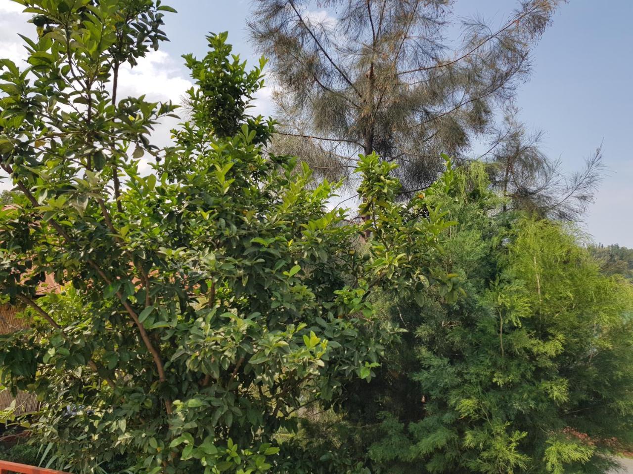 Rebero Kivu Resort Kibuye Esterno foto